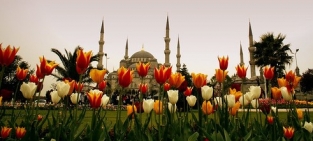 حدائق إسطنبول
